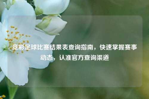 竞彩足球比赛结果表查询指南，快速掌握赛事动态，认准官方查询渠道