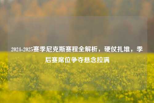 2024-2025赛季尼克斯赛程全解析，硬仗扎堆，季后赛席位争夺悬念拉满