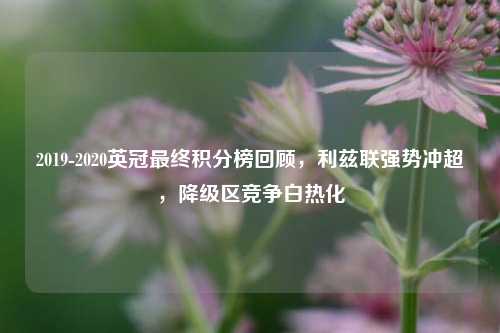 2019-2020英冠最终积分榜回顾，利兹联强势冲超，降级区竞争白热化