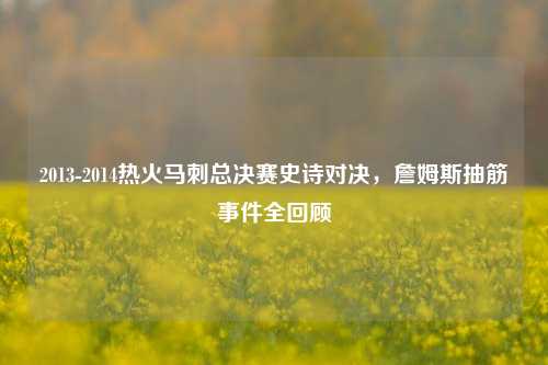 2013-2014热火马刺总决赛史诗对决，詹姆斯抽筋事件全回顾
