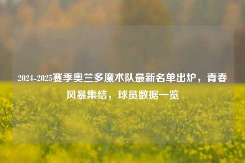 2024-2025赛季奥兰多魔术队最新名单出炉，青春风暴集结，球员数据一览