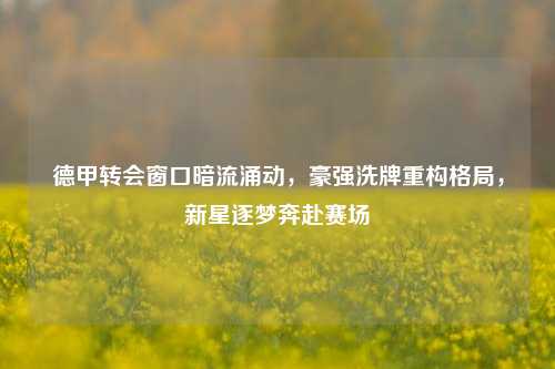德甲转会窗口暗流涌动，豪强洗牌重构格局，新星逐梦奔赴赛场