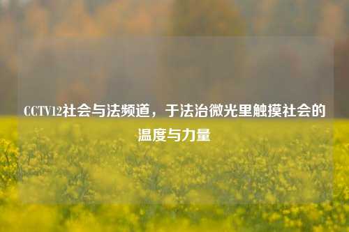 CCTV12社会与法频道，于法治微光里触摸社会的温度与力量