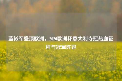 蓝衫军登顶欧洲，2020欧洲杯意大利夺冠热血征程与冠军阵容