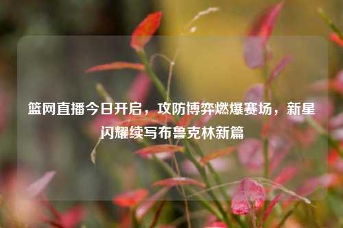 篮网直播今日开启，攻防博弈燃爆赛场，新星闪耀续写布鲁克林新篇