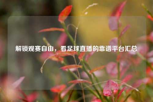 解锁观赛自由，看足球直播的靠谱平台汇总