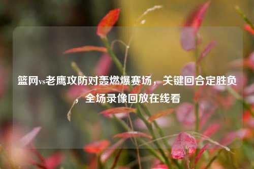 篮网vs老鹰攻防对轰燃爆赛场，关键回合定胜负，全场录像回放在线看