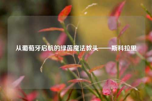 从葡萄牙启航的绿茵魔法教头——斯科拉里