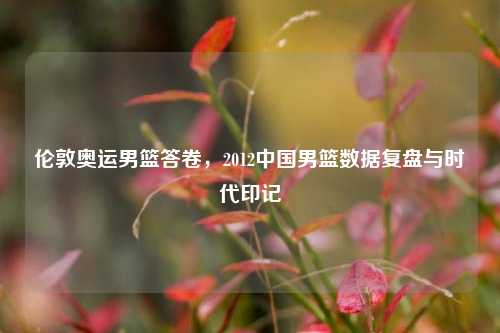伦敦奥运男篮答卷，2012中国男篮数据复盘与时代印记