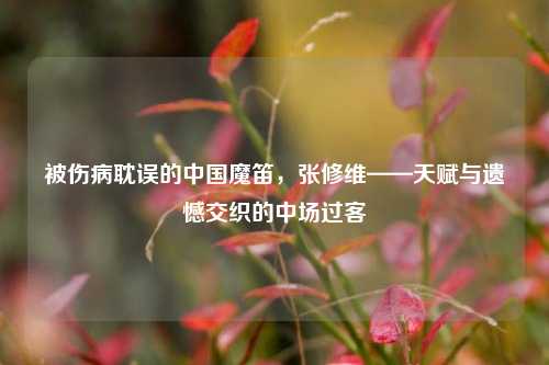 被伤病耽误的中国魔笛，张修维——天赋与遗憾交织的中场过客
