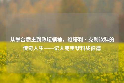 从拳台霸主到政坛领袖，维塔利·克利钦科的传奇人生——记大克里琴科战伯德
