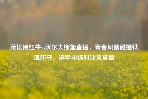 莱比锡红牛vs沃尔夫斯堡直播，青春风暴碰撞铁血防守，德甲中场对决见真章