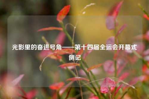 光影里的奋进号角——第十四届全运会开幕式侧记