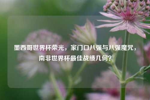 墨西哥世界杯荣光，家门口八强与八强魔咒，南非世界杯更佳战绩几何？