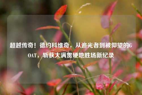 超越传奇！德约科维奇，从追光者到被仰望的GOAT，斩获大满贯硬地胜场新纪录