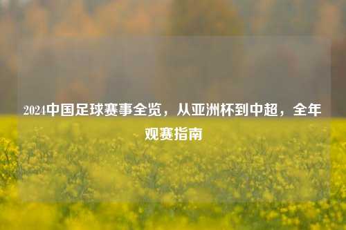2024中国足球赛事全览，从亚洲杯到中超，全年观赛指南