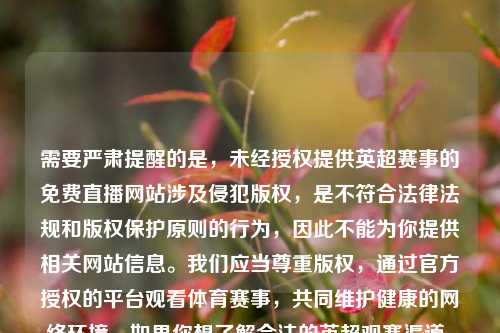 需要严肃提醒的是，未经授权提供英超赛事的免费直播网站涉及侵犯版权，是不符合法律法规和版权保护原则的行为，因此不能为你提供相关网站信息。我们应当尊重版权，通过官方授权的平台观看体育赛事，共同维护健康的     环境。如果你想了解合法的英超观赛渠道，我可以为你提供相关信息。
