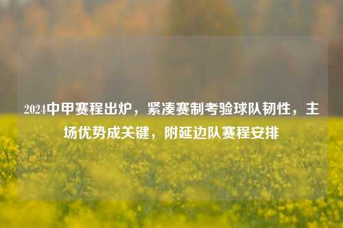 2024中甲赛程出炉，紧凑赛制考验球队韧性，主场优势成关键，附延边队赛程安排
