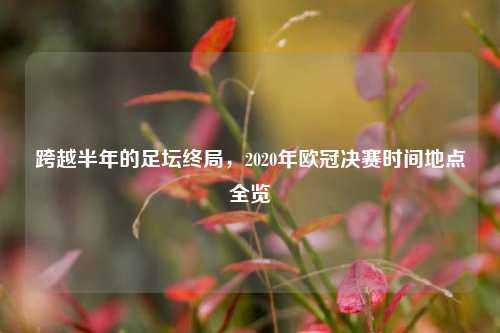 跨越半年的足坛终局，2020年欧冠决赛时间地点全览