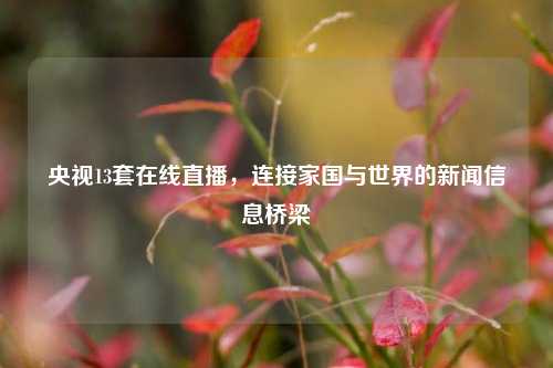 央视13套在线直播，连接家国与世界的新闻信息桥梁