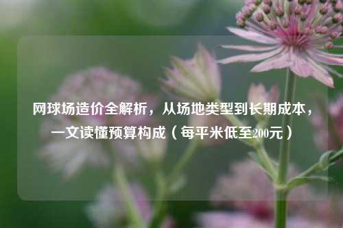 网球场造价全解析，从场地类型到长期成本，一文读懂预算构成（每平米低至200元）