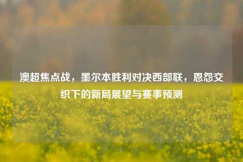 澳超焦点战，墨尔本胜利对决西部联，恩怨交织下的新局展望与赛事预测