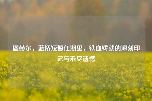 图赫尔，蓝桥短暂任期里，铁血铸就的深刻印记与未尽遗憾