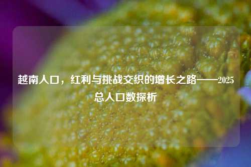 越南人口，红利与挑战交织的增长之路——2025总人口数探析
