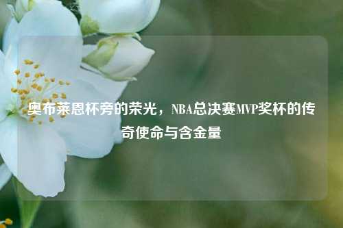 奥布莱恩杯旁的荣光，NBA总决赛MVP奖杯的传奇使命与含金量