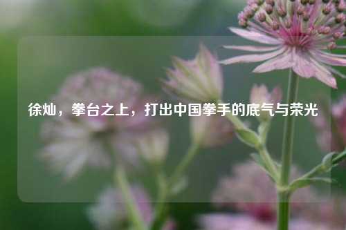 徐灿，拳台之上，打出中国拳手的底气与荣光
