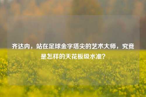 齐达内，站在足球金字塔尖的艺术大师，究竟是怎样的天花板级水准？