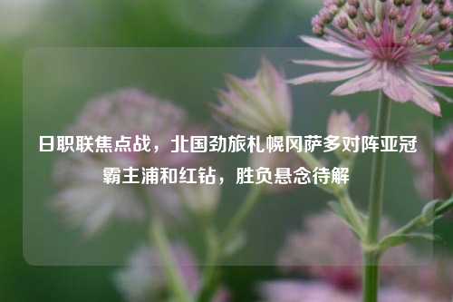 日职联焦点战，北国劲旅札幌冈萨多对阵亚冠霸主浦和红钻，胜负悬念待解