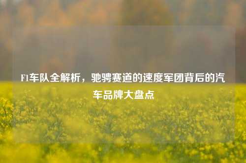 F1车队全解析，驰骋赛道的速度军团背后的汽车品牌大盘点