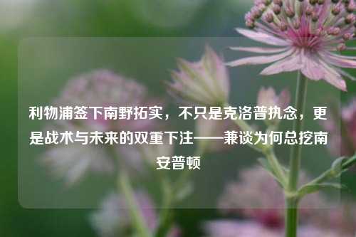 利物浦签下南野拓实，不只是克洛普执念，更是战术与未来的双重下注——兼谈为何总挖南安普顿