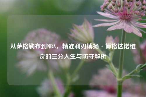 从萨格勒布到NBA，精准利刃博扬·博格达诺维奇的三分人生与防守解析