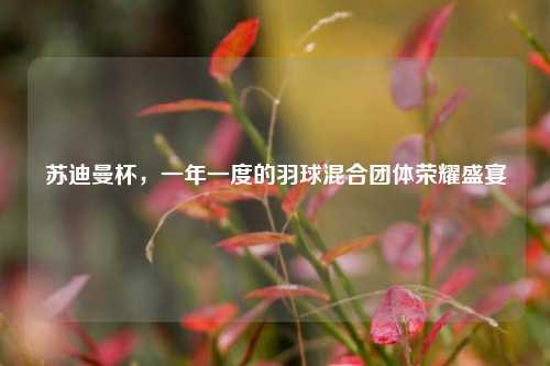苏迪曼杯，一年一度的羽球混合团体荣耀盛宴
