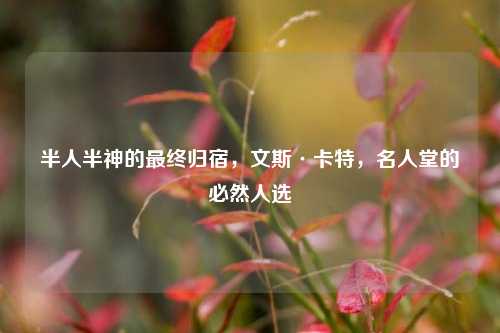 半人半神的最终归宿，文斯·卡特，名人堂的必然人选