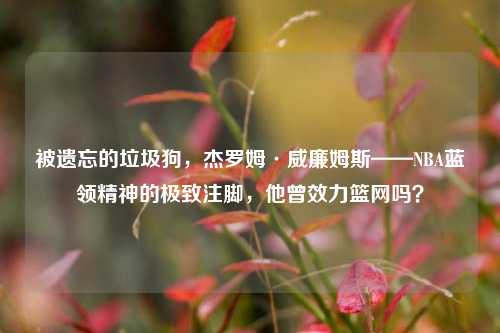 被遗忘的垃圾狗，杰罗姆·威廉姆斯——NBA蓝领精神的极致注脚，他曾效力篮网吗？