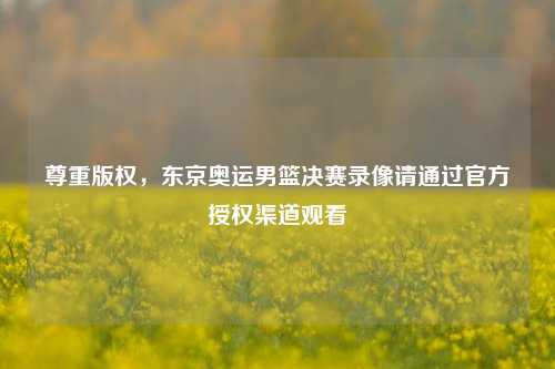 尊重版权，东京奥运男篮决赛录像请通过官方授权渠道观看